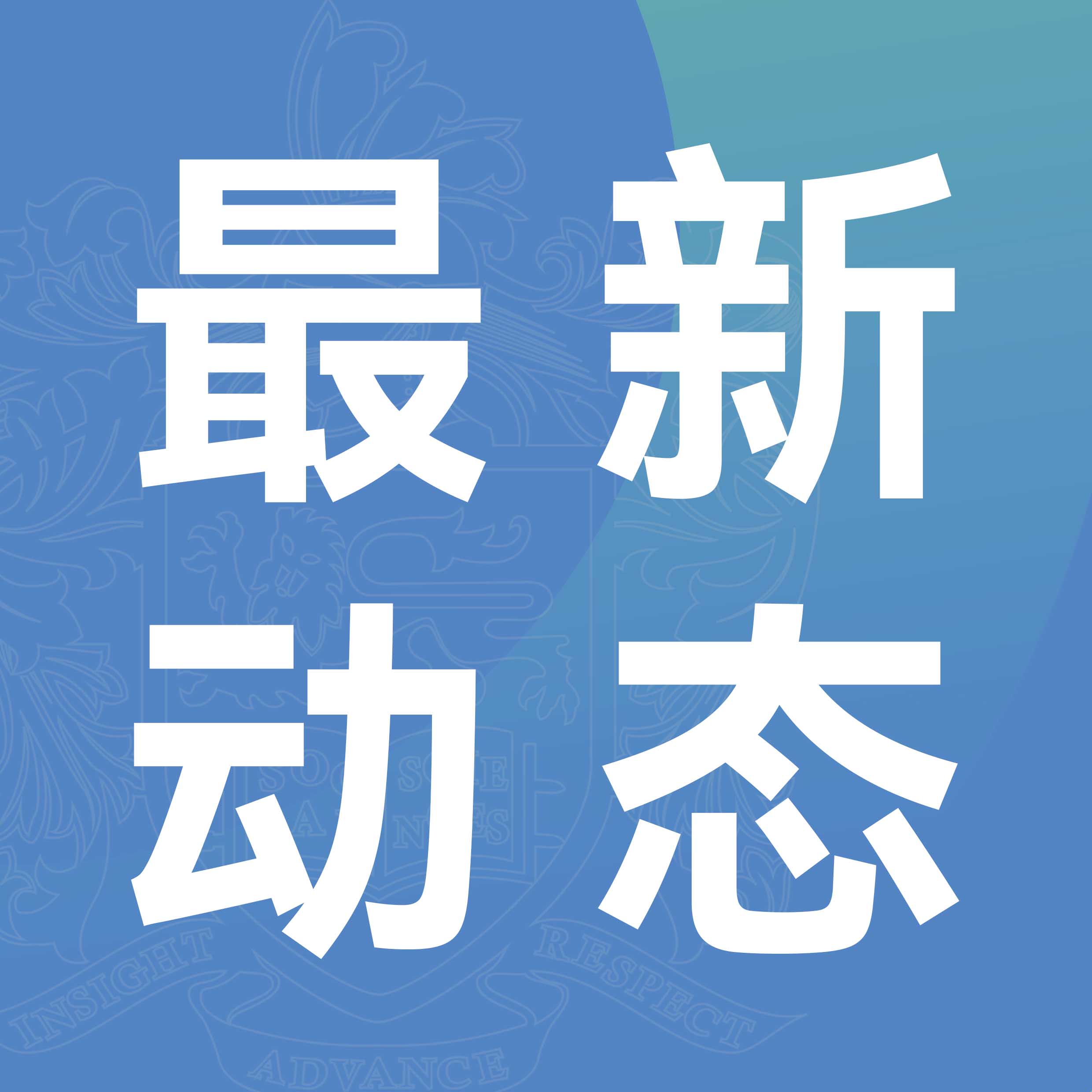 最新动态